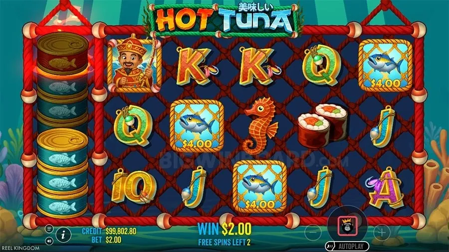 Winph Bankroll Management